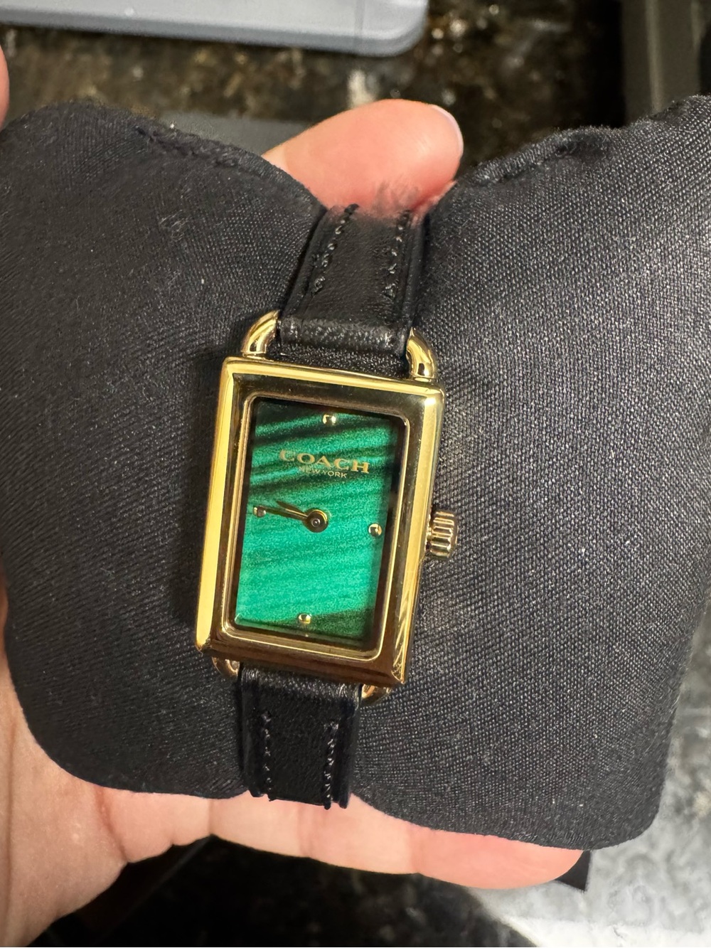 Coach Liz Watch 24mm - Green, Golden & Black